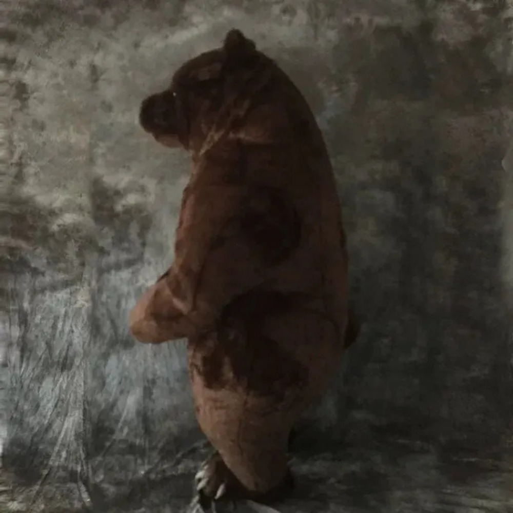 Inflatable Brown Bear Mascot C - đánh giá và giá Costumes